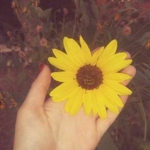 Meet your Posher, Molly